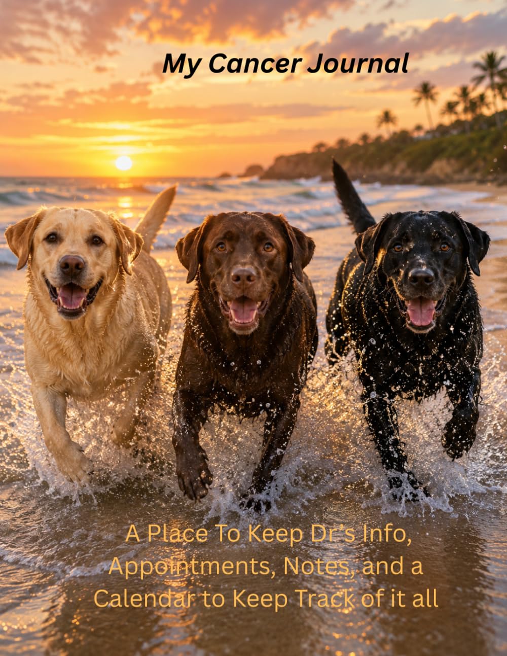 Three-Labradors-My-Cancer-Journal